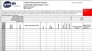 A close-up of the spreadsheet for the Youth Achievement Award Candidate Registration Form.